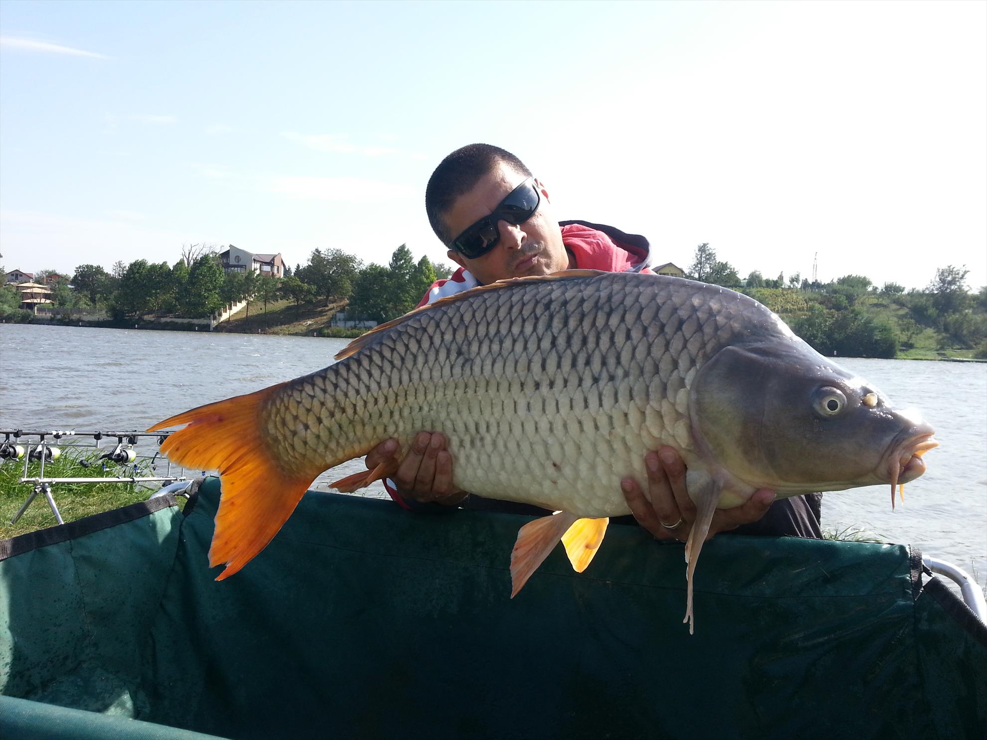 Moara Vlasiei 2 5 septembrie 2014 - 20140905153259.jpg